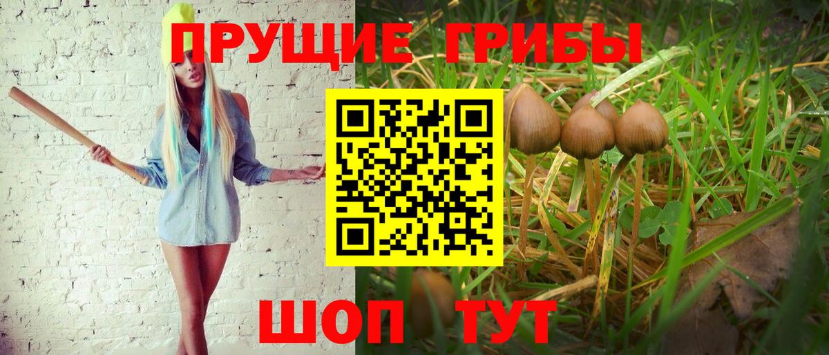 Псилоцибиновые грибы прущие грибы Когалым
