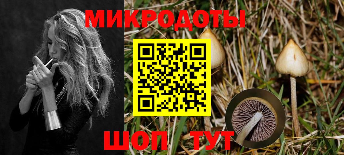 Когалым  Псилоцибиновые грибы прущие грибы  Вход с VPN 